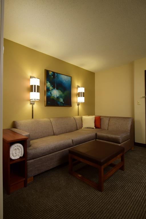 Hyatt Place Dallas Las Colinas Irving Habitación foto